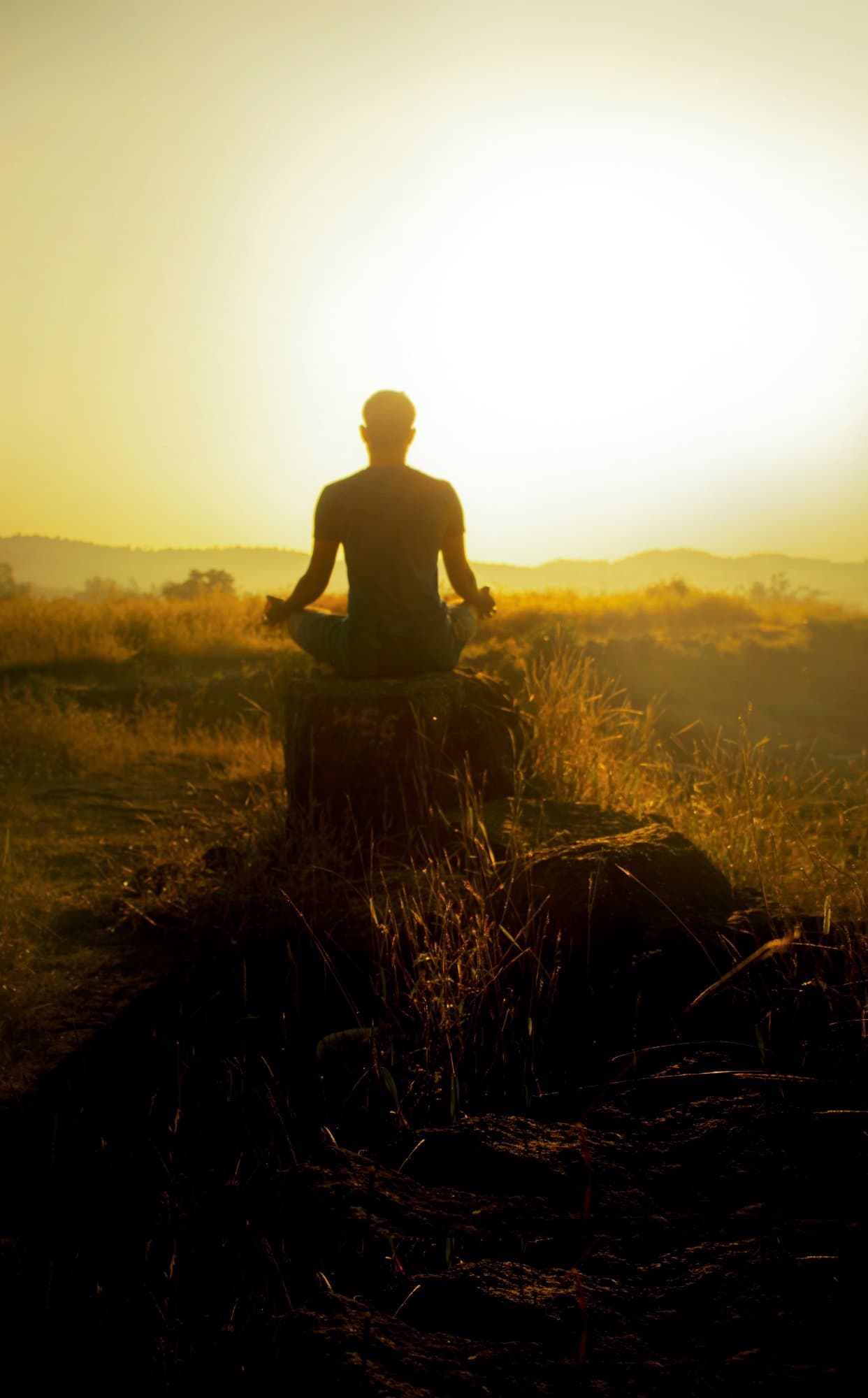 Why Your Body Is Your First Sovereign Territory